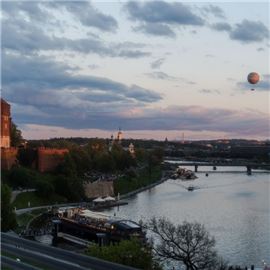 view