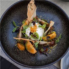 burrata